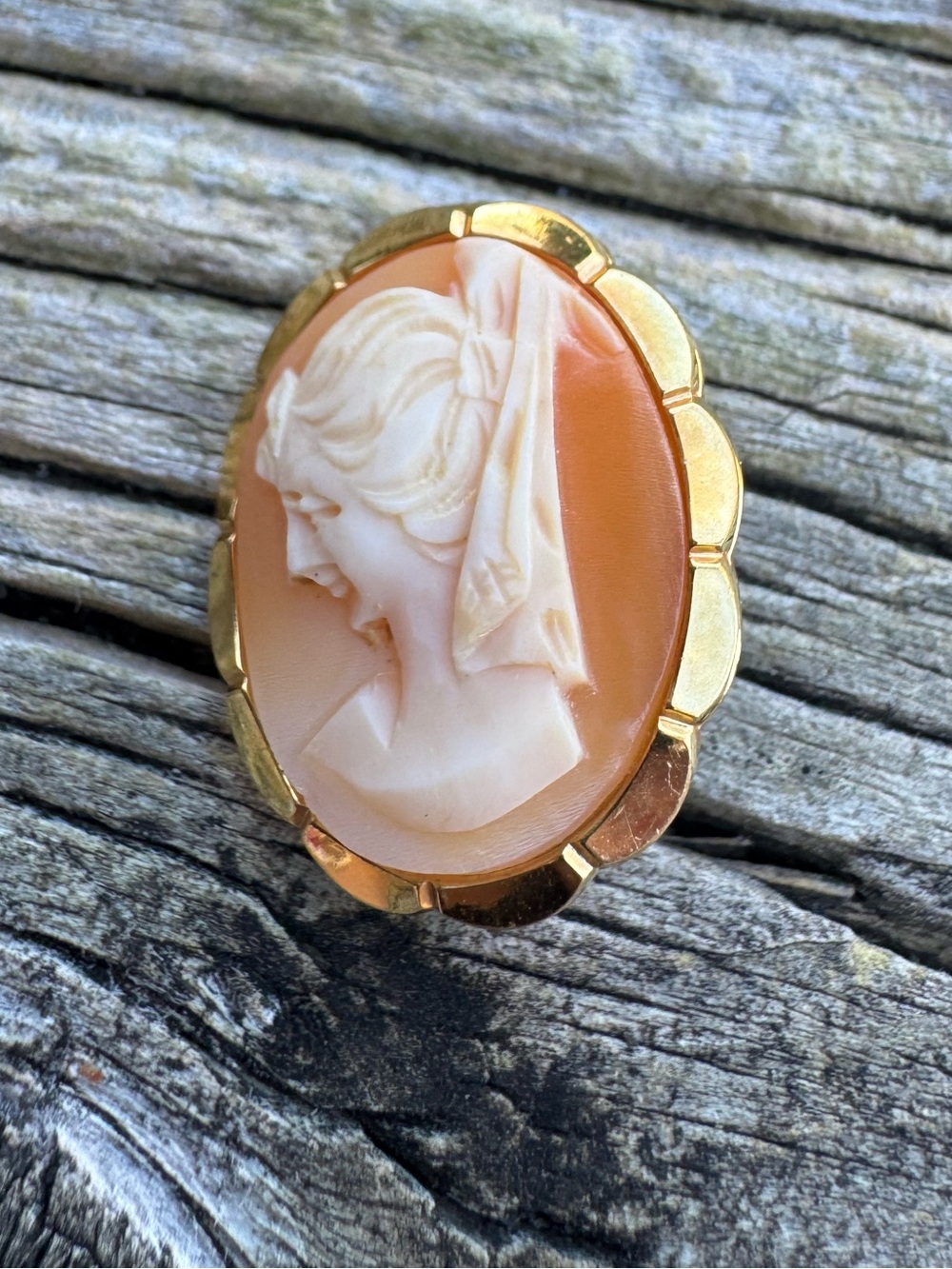 Andreas Daub Cameo Pin Brooch Left Facing Portrait Carved Carnelian Shell Gold